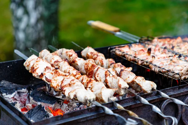Barbecue Kip Vlees Gebakken Grill Kolen — Stockfoto