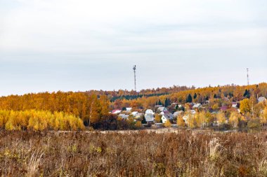 Arka planda göl Sonbahar Orman Köyü. Sonbahar Rusya'da