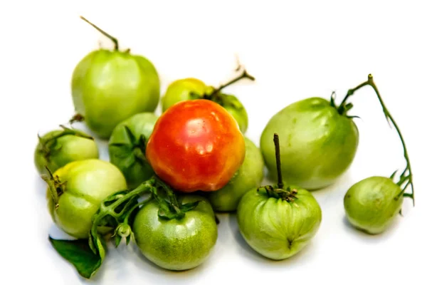 Tomates Orgánicos Naturales Verde Naranja Sobre Fondo Blanco Con Sombra —  Fotos de Stock