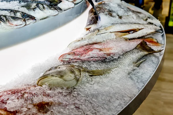 Different fish, sea bass, sea wolf, Dorado lie on the ice on the counter in the fish store