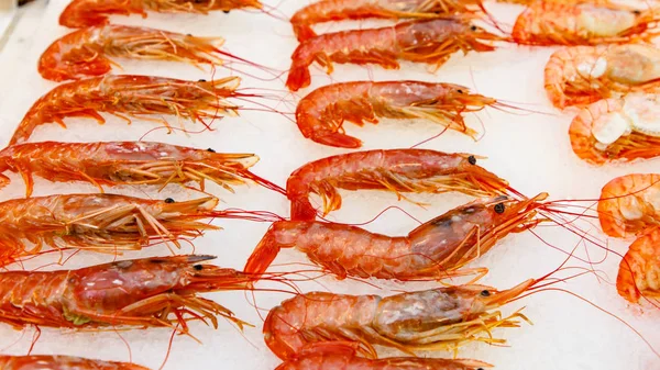 Langoustines Sono Sul Ghiaccio Nella Vetrina Del Negozio — Foto Stock