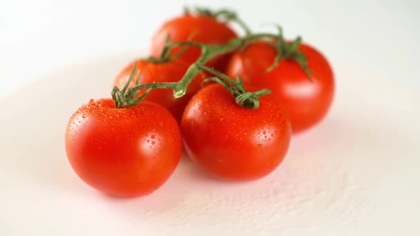 Tomatoes Rotating White Background — Stock Video