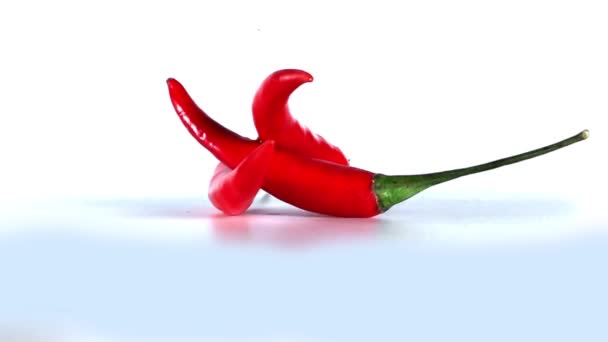 Red Chili Pepper Rotating White Background — Stock Video