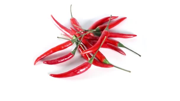 Červené Chilli Papričky Otáčení Bílém Pozadí — Stock video