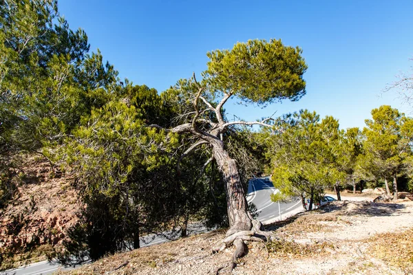 Panorama Delle Montagne Spagna Vicino Montserrat — Foto Stock