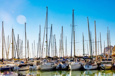 Güneşli bir Marina birçok Yatlar.