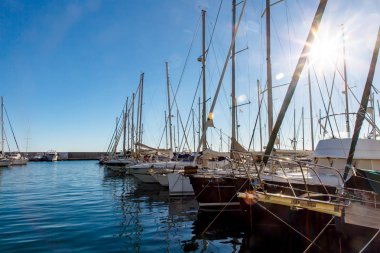 Güneşli bir Marina birçok Yatlar.
