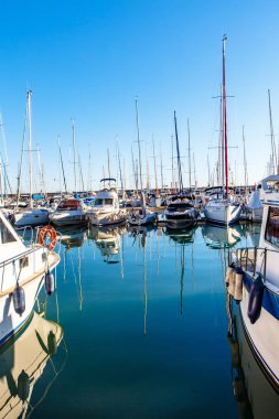 Güneşli bir Marina birçok Yatlar.