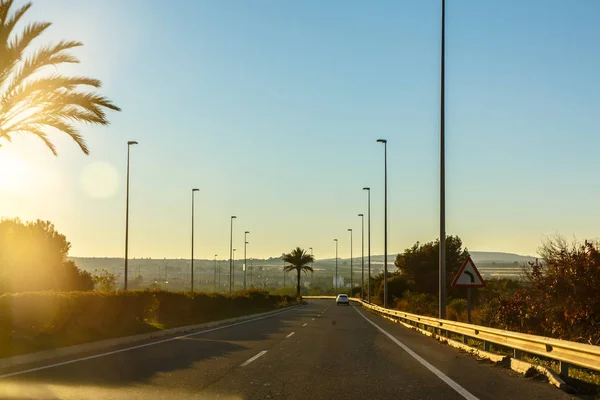 Autostrada Palmami Słonecznej Pogodzie — Zdjęcie stockowe