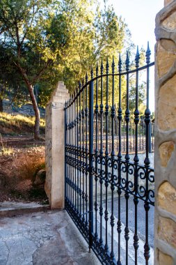 Eski Iron gate Park.