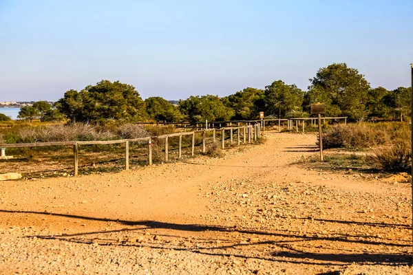 Pasarela Con Valla Madera Parque Verano —  Fotos de Stock