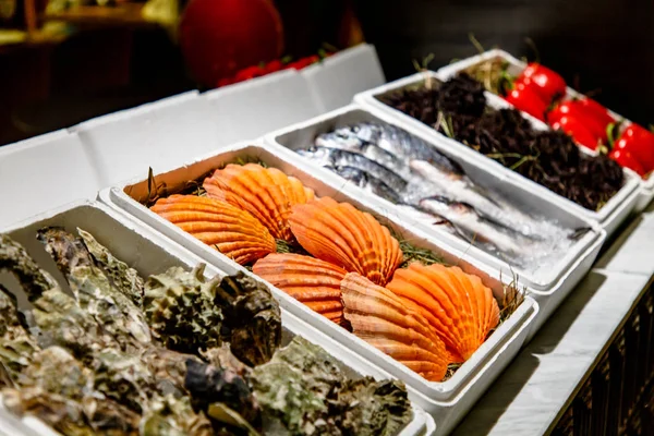 Friske skaller og fisk er på disken på markedet . - Stock-foto