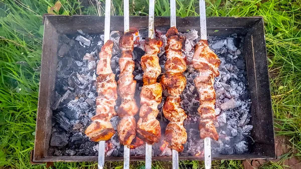 Spiesjes geroosterd op de grill met de kolen op het buitenleven — Stockfoto