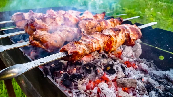 Spiesjes geroosterd op de grill met de kolen op het buitenleven — Stockfoto