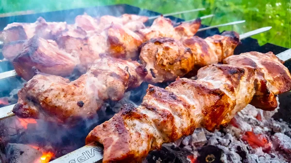 Spiesjes geroosterd op de grill met de kolen op het buitenleven — Stockfoto