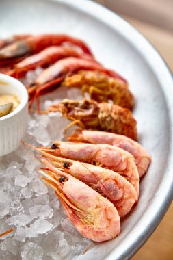 Farklı karides (inek, ayı ve diğerleri), soslu buz üzerinde buz.