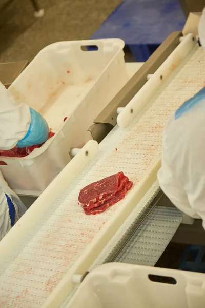 Meat processing plant. Slices of cut beef on the conveyor.