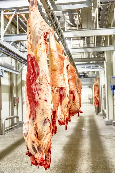 Slachterij vleesverwerkende fabriek, gesneden marmer rundvlees. — Stockfoto