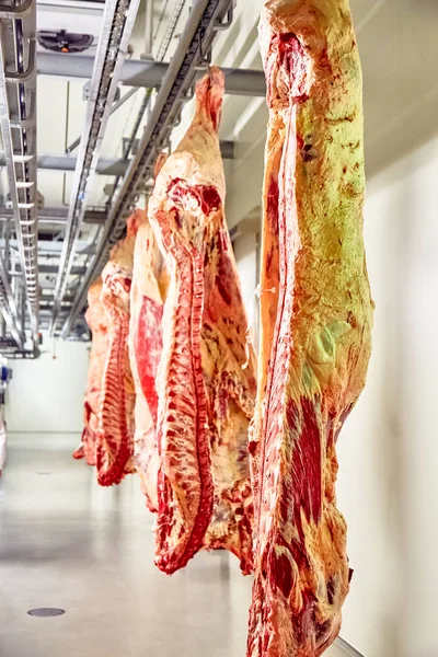 Slachterij vleesverwerkende fabriek, gesneden marmer rundvlees. — Stockfoto