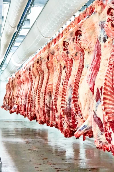 Slaughterhouse meat processing plant, cut marble beef.