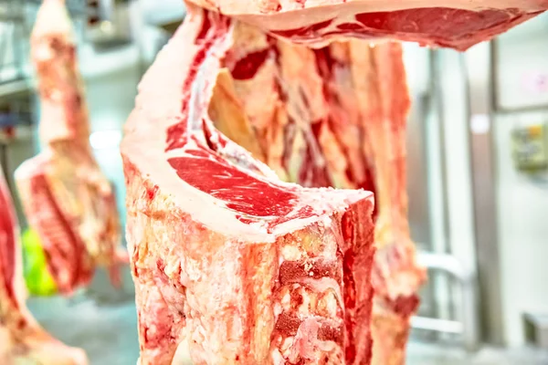 Matadero planta de procesamiento de carne, corte de carne de mármol . — Foto de Stock