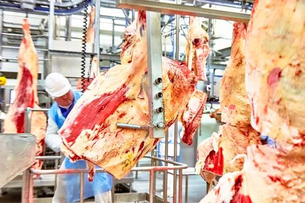 Slaughterhouse meat processing plant, cut marble beef.