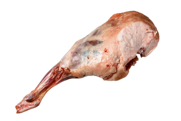 Beyaz Arka Planda Çiğ Kuzu Bacağı Zole Edilmiş — Stok fotoğraf