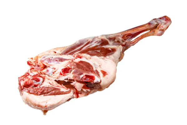 Beyaz Arka Planda Çiğ Kuzu Bacağı Zole Edilmiş — Stok fotoğraf