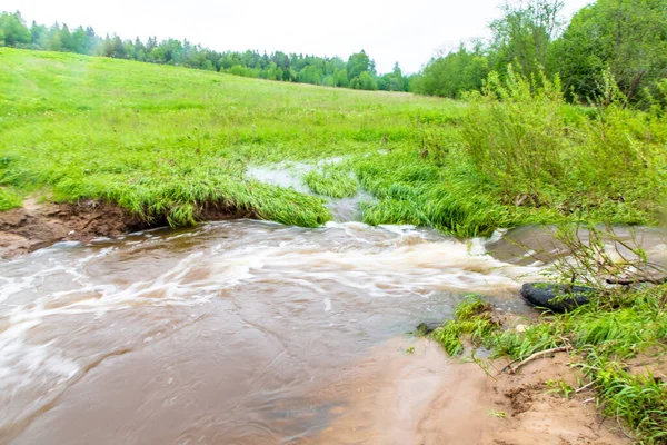 Depois Uma Chuva Forte Pequeno Rio Campo Transbordou Suas Margens — Fotografia de Stock