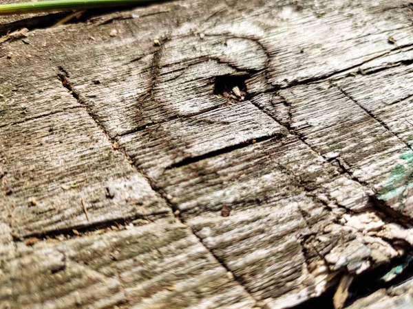 Stara Tekstura Drzewa Która Może Być Używana Tła — Zdjęcie stockowe