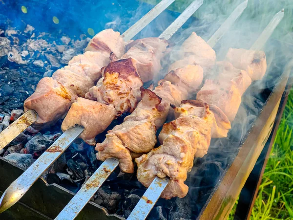 Carne Porco Shish Kebab Frito Grelha Sobre Carvão Chamas — Fotografia de Stock