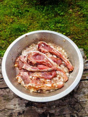 Yaz pikniğinde ızgara yapmak için soğan ve baharatla marine edilmiş kuzu filetosu.