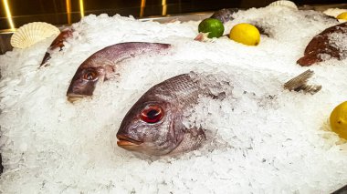 Dorado balığı marketin tezgahındaki buzda yatıyor.
