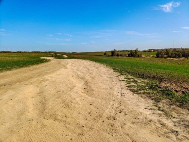 Toprak bir yol genç yeşilliklerle dolu bir tarladan geçer.