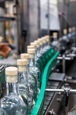 Alkollü içecekler üreten bir fabrika. Taşıyıcıda votka şişeleri.