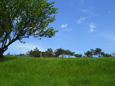 Mavi gökyüzünün altında huzur