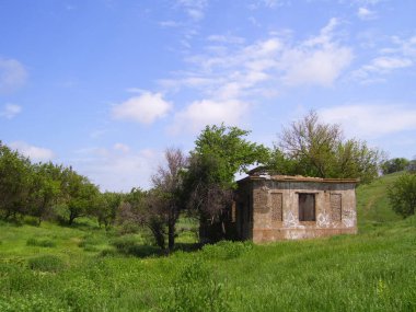 Otlar arasında Harabeleri