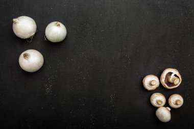 Mantar ve soğan siyah arka plan, üstten görünüm kompozisyon