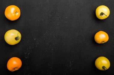 Satırı sarı domates, koyu arka plan boşluk yazmak için. Sonbahar sebze, üstten görünüm