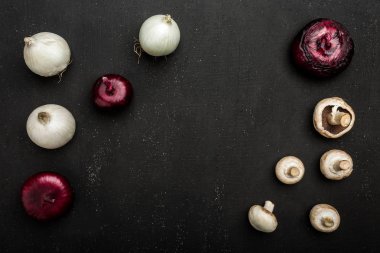 Mantar ve soğan siyah arka plan, üstten görünüm kompozisyon