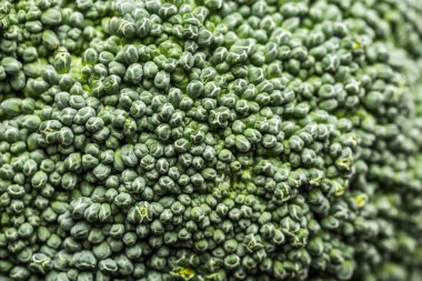 Brokoli, yeşil makro brokoli arka plan fotoğrafı