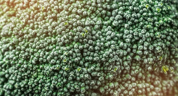 Egészséges Zöld Organikus Nyers Brokkoli Virágzat Készen Áll Főzés Nézetének — Stock Fotó