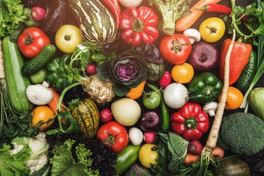 Ham organik sebze çeşitli ile kompozisyon. Sağlıklı bir vücut, üstten görünüm ve ışık efektleri için dengeli beslenme