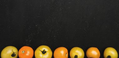 Sonbahar sebze, taze domates bottomon satırında bir rustik taş arka plan boşluk yazma, en iyi görünüm için düzenlenen