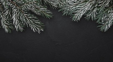 Yatay siyah taş zemin çam dalları. Metin için yer. Üstten görünüm.