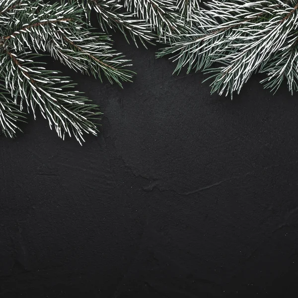 Black Square Stone Background Fir Branches Space Text Top View — Stock Photo, Image