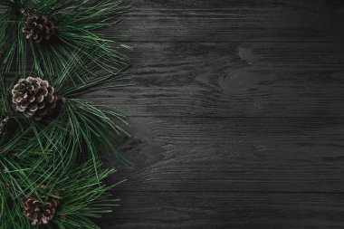 Noel kartı. Siyah ahşap arka plan, Çamın dalları ve çam kozalakları bir yan, üst görünümden