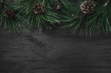 Noel kartı. Çamın dalları ve çam kozalakları en iyi, üst görünümden siyah ahşap zemin