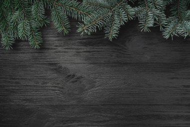 Noel kartı. Çam dalları üst siyah ahşap zemin. Üstten görünüm