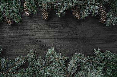 Noel kartı. Çam dalları koniler ve üst ve alt dalları ile ahşap arka plan siyah. Üstten görünüm